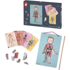 Bodymagnet - Jeu Éducatif Corps Humain - , J05491 - Janod