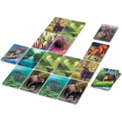 Ecosystème Forêt - Jeu De Société