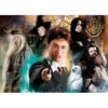 Harry Potter - Puzzles 500p - Dumbledore 1 Harry Potter - Puzzles 500p - Dumbledore -Lille Aux Jouets harry potter puzzles 500p 4