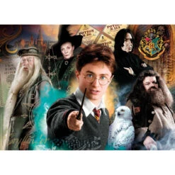 Harry Potter - Puzzles 500p - Dumbledore