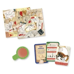 Jurassic Survie - Jeu De Société Enfant - Jeu Educatif Collaboratif - Janod